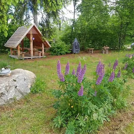 Chalet Chalet De Martimprey - Chalets - Gites - Chambres D' Hotes Et Spas Gérardmer