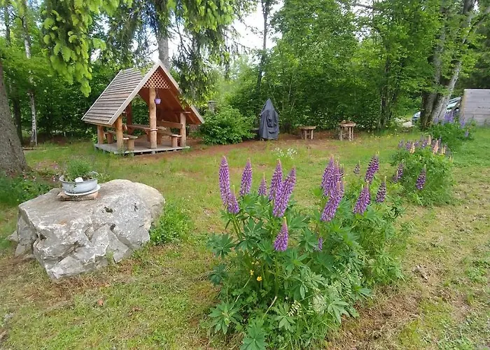 Horská chata Chalet De Martimprey - Chalets - Gites - Chambres D' Hotes Et Spas Gérardmer